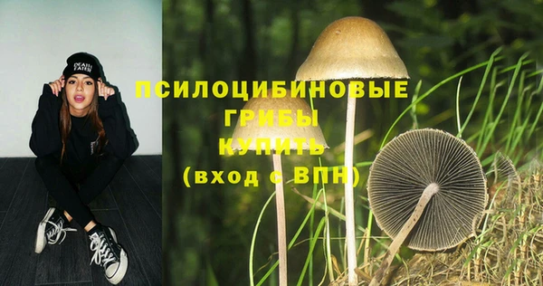 метадон Абинск