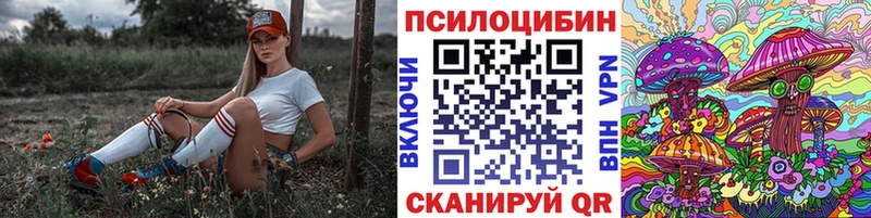 закладки Нижневартовск Псилоцибиновые грибы мицелий
