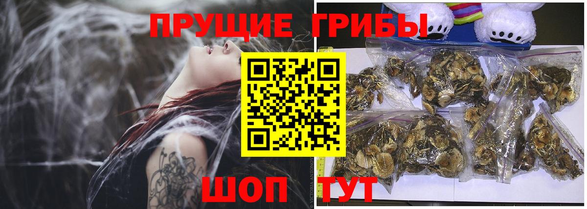 Нижневартовск  Галлюциногенные грибы Psilocybine cubensis  Вход с VPN 